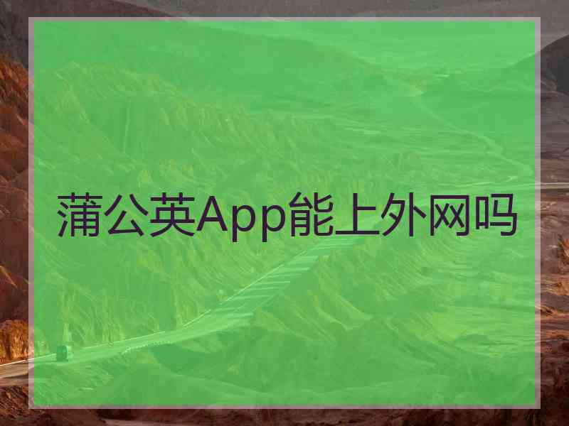 蒲公英App能上外网吗